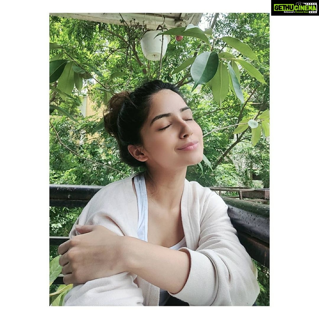 Kashmira Pardesi Instagram - When you plant a little plant and it grows taller than you! 🌱 #whenyoutakecareofthingstheylast #favcorner #monsoon #naturetherapy #saturdaymood #unwind