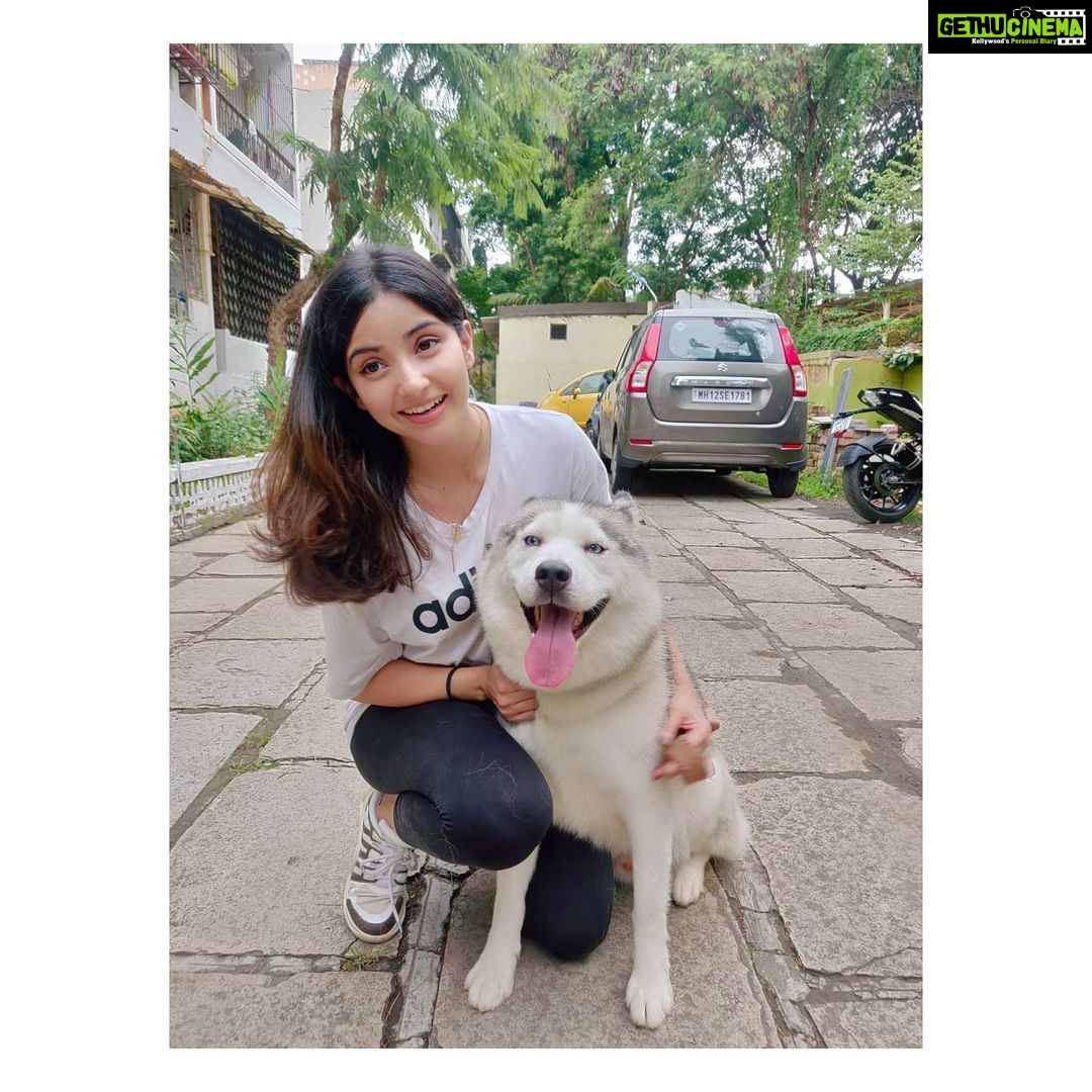 Kashmira Pardesi Instagram - We had a Paw-ty yesterday at @kennelsofvalhalla 🤸🏻♀️🤸🏻♀️🤸🏻♀️ Thank you for a beautiful beautiful day!! You guys have to follow @kennelsofvalhalla They have my heart 🌸♥️ #dogs #doglover #dogsofinstagram #huskiesofinstagram #dogoftheday