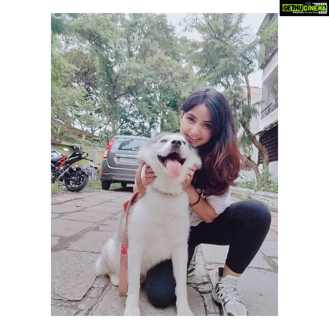 Kashmira Pardesi Instagram - We had a Paw-ty yesterday at @kennelsofvalhalla π€Έπ»ββοΈπ€Έπ»ββοΈπ€Έπ»ββοΈ Thank you for a beautiful beautiful day!! You guys have to follow @kennelsofvalhalla They have my heart πΈβ₯οΈ #dogs #doglover #dogsofinstagram #huskiesofinstagram #dogoftheday