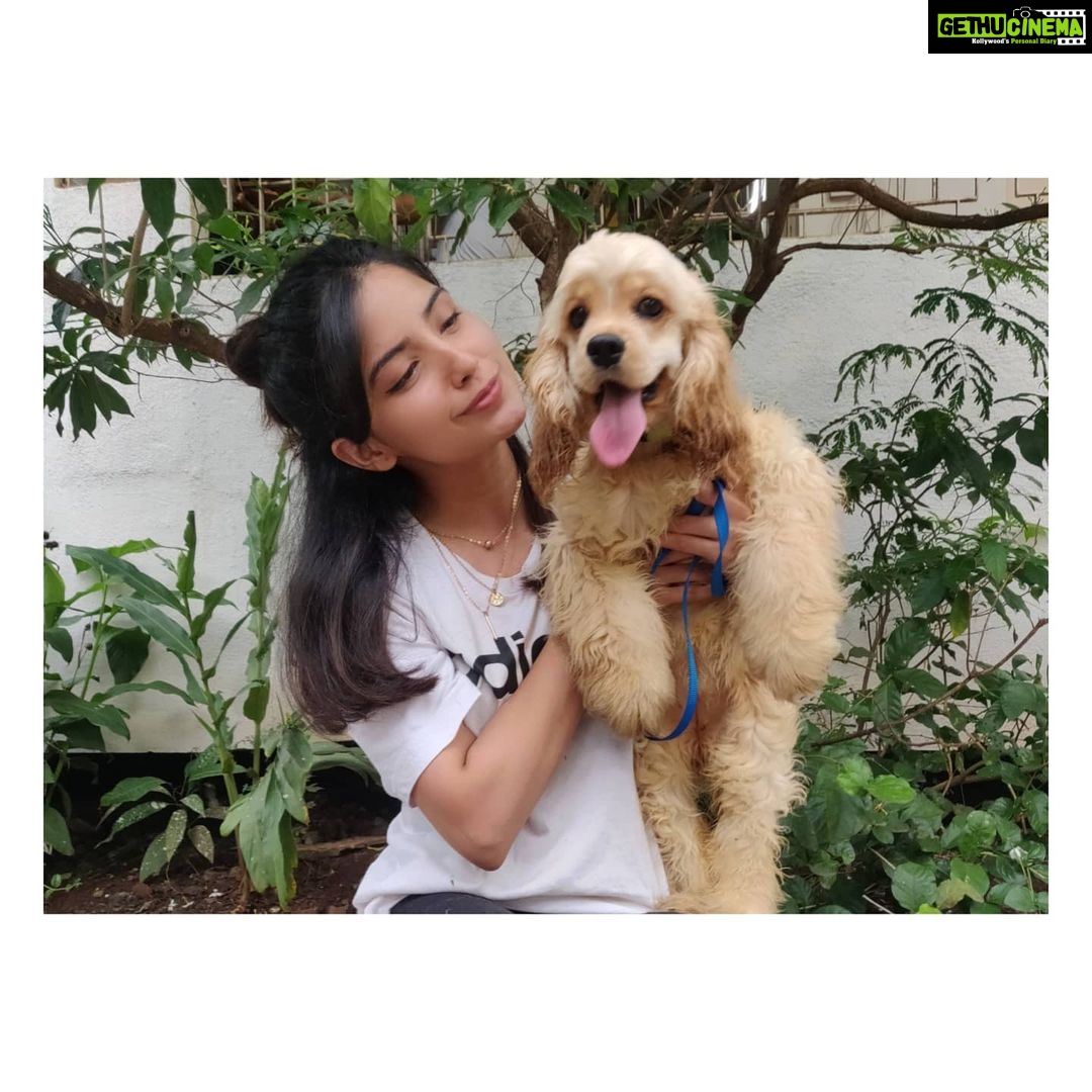 Kashmira Pardesi Instagram - We had a Paw-ty yesterday at @kennelsofvalhalla π€Έπ»ββοΈπ€Έπ»ββοΈπ€Έπ»ββοΈ Thank you for a beautiful beautiful day!! You guys have to follow @kennelsofvalhalla They have my heart πΈβ₯οΈ #dogs #doglover #dogsofinstagram #huskiesofinstagram #dogoftheday