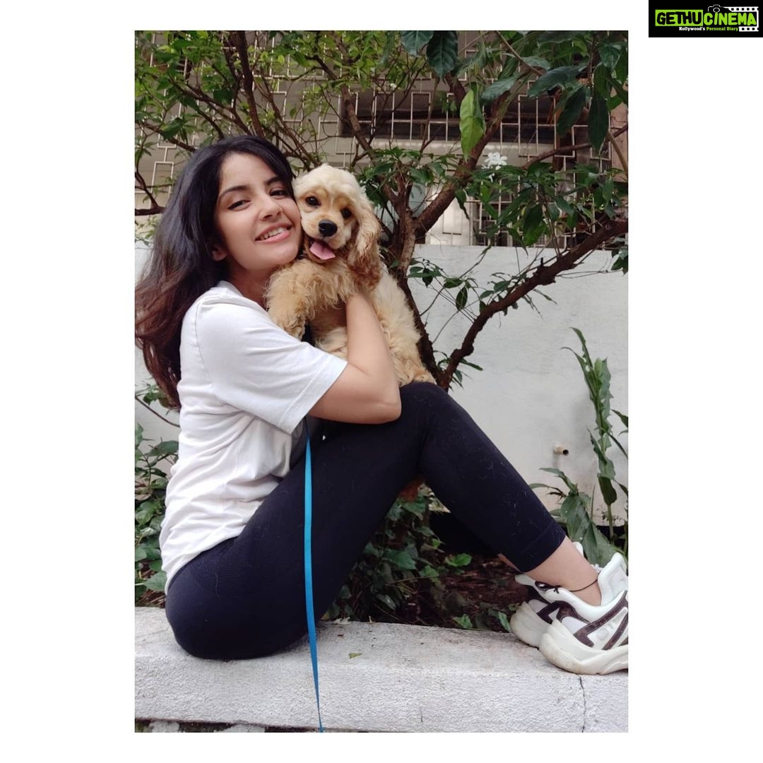 Kashmira Pardesi Instagram - We had a Paw-ty yesterday at @kennelsofvalhalla π€Έπ»ββοΈπ€Έπ»ββοΈπ€Έπ»ββοΈ Thank you for a beautiful beautiful day!! You guys have to follow @kennelsofvalhalla They have my heart πΈβ₯οΈ #dogs #doglover #dogsofinstagram #huskiesofinstagram #dogoftheday