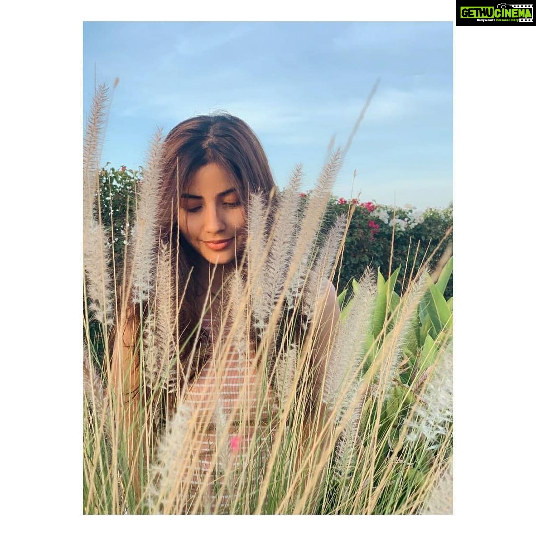Kashmira Pardesi Instagram - Blue Sky, Wild green Landscape, good conversations and alot of laughter !! #lastyearthistime