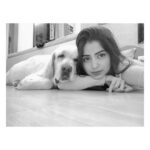 Kashmira Pardesi Instagram - What!? It's ok I'm just a Pup!! - Shiro #bigbaby #Shiro #missyousomuch #makingmesmileeveryday #loveyou #labs #dogs #bigdoggo