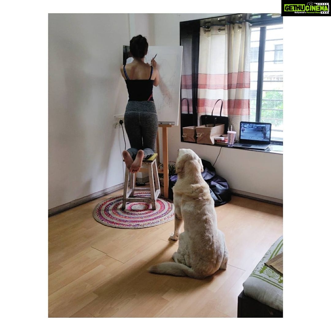 Kashmira Pardesi Instagram - You would make this so much better ♥️🦋#mybaby #shiro #missyou #stayinghome #warmth #homesweethome
