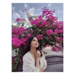Kashmira Pardesi Instagram - Zara Phank Jhatak Gai Dhool Atak Aur Lachak Machak Ke Duur Bhatak... My Mood - Every time I listen to Masakali 🕊️🥰 Loving Banglore weather ♥️ #masakali #mood #hindisongs #hindipoetry #feels #lifeisgooood #blr #allsmileshere #fridayvibes #weekendvibes #friyayyy
