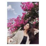 Kashmira Pardesi Instagram - Zara Phank Jhatak Gai Dhool Atak Aur Lachak Machak Ke Duur Bhatak... My Mood - Every time I listen to Masakali 🕊️🥰 Loving Banglore weather ♥️ #masakali #mood #hindisongs #hindipoetry #feels #lifeisgooood #blr #allsmileshere #fridayvibes #weekendvibes #friyayyy