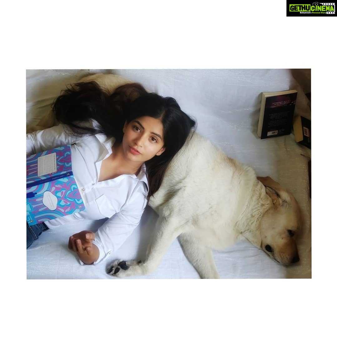 Kashmira Pardesi Instagram - 💌💫 #Topofmylovepyramid #shiroandme #starboy #happytimes #truebliss #familytime #famjam