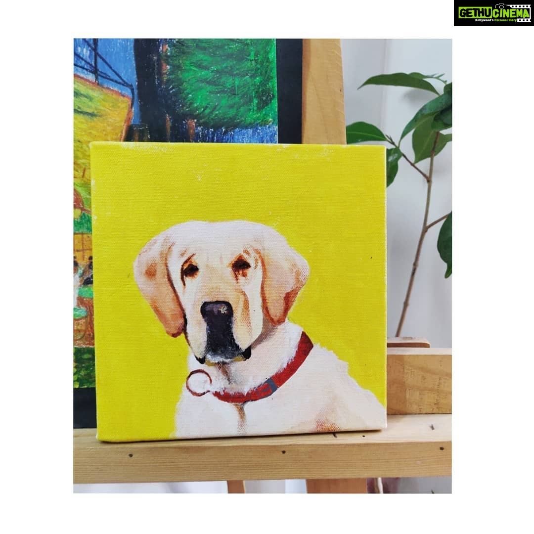 Kashmira Pardesi Instagram - I'm so glad I got to do this when you were around❤️ #foreveroncanvas #Topofmylovepyramid #shiro #ShiroandUs #happydoggo #mybubba
