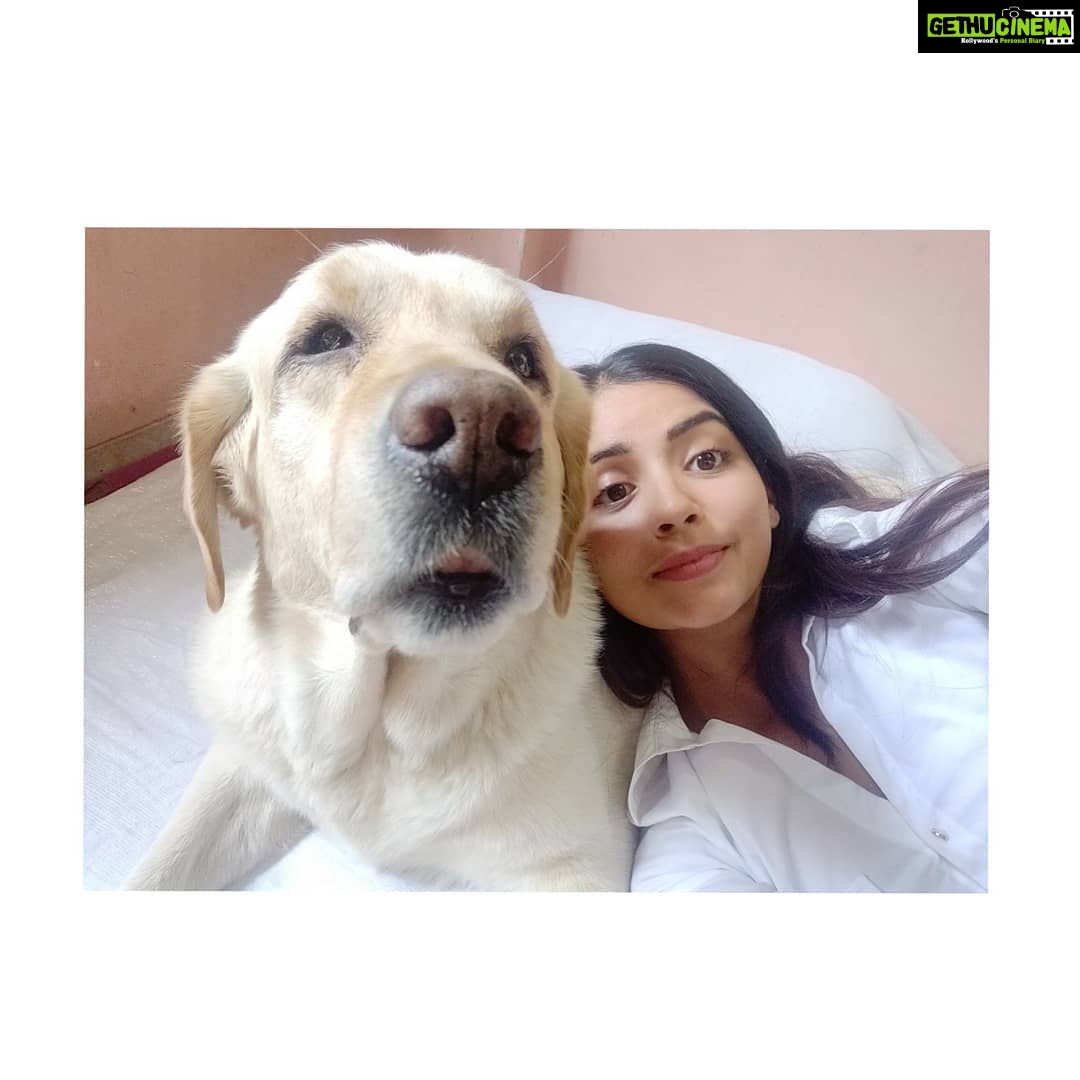 Kashmira Pardesi Instagram - 💌💫 #Topofmylovepyramid #shiroandme #starboy #happytimes #truebliss #familytime #famjam
