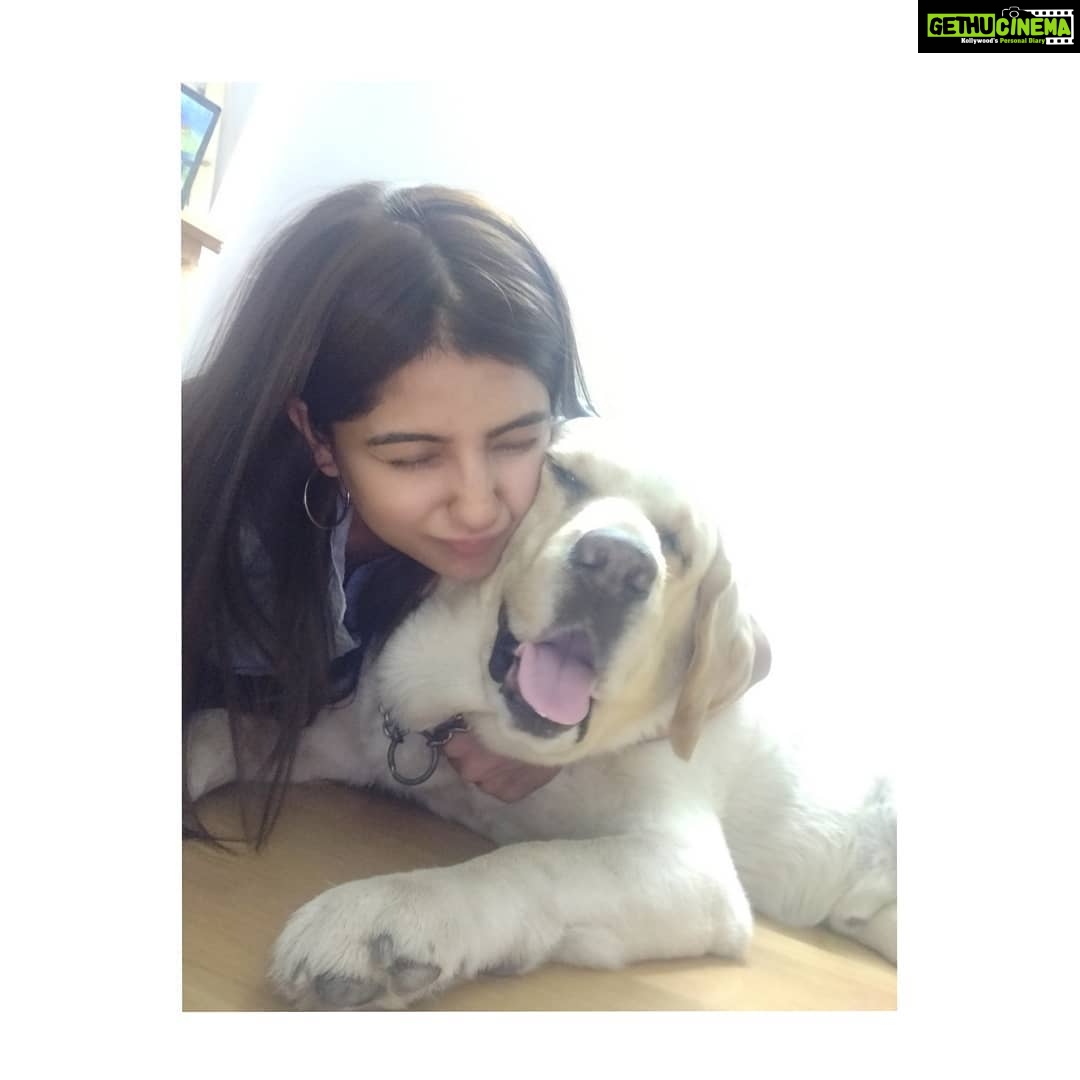 Kashmira Pardesi Instagram - 💌💫 #Topofmylovepyramid #shiroandme #starboy #happytimes #truebliss #familytime #famjam