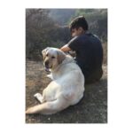 Kashmira Pardesi Instagram - My baby, Even though it's different now, you're still here somehow. I know you are in a better place - younger, healthier, happier. You are the most wonderful soul and I just know that you are protected where ever you are. I will see you soon and till then we will live with the things you taught us while you were here, like - How to completely unconditionally love. How to greet someone and be the best/happiest host ever. How to relax with the legs up in the air or wall. How to protect your loved ones. How to not stress over small things and truly rest. How to enjoy the wind in the car window and roll on the garden grass. How to be a fighter and yet be so gentle. How to live. My handsome lion, Shiro (2009 - 2019) #Topofmylovepyramid #Mypride #Swearonshirostillon #willmissyourhugs #ShiroandUs #stillhere #Mylove