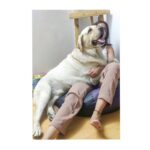 Kashmira Pardesi Instagram – Little Doggo.
#shiroandme #home #doglovers