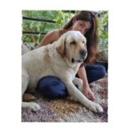 Kashmira Pardesi Instagram – Little Doggo.
#shiroandme #home #doglovers