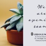 Lijomol Jose Instagram - First time in Pondicherry an indoor green store for Plants and Pots. For all those who love and care plants, we are opening soon. Let’s bring nature in.... #urbanjungle #indoorplants #pondicherry #pondicherryindoorplants #wetheurbanjungle #urbanjunglepondicherry #potsandplants #indoorplantsdecor Heritage Town Pondicherry