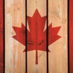 Lisa Ray Instagram - Canada 🍁 Day 2022