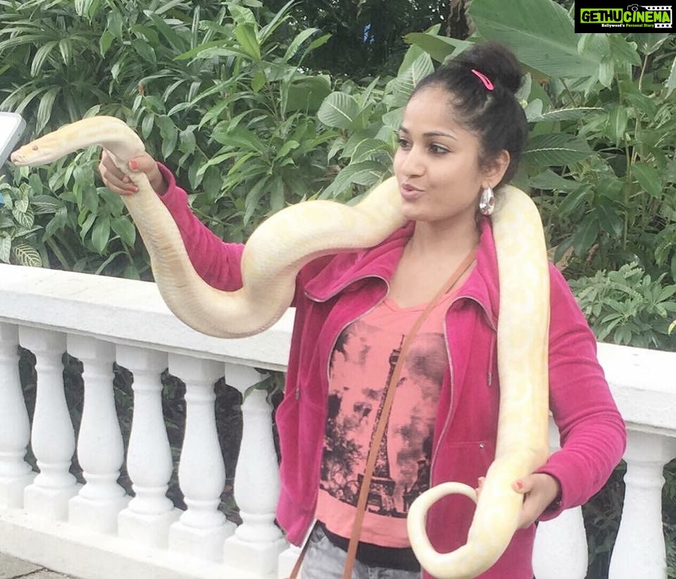 Madhavi Latha Instagram - Atluntadi manathoni