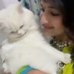 Madhavi Latha Instagram - #my 🥰 cutie