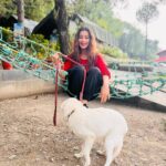 Madhuurima Instagram - Hills ! Breeze ! Hammock and a pup. Cute day spent 💝💝 #vacaymode #vacay #shoot