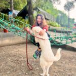 Madhuurima Instagram - Hills ! Breeze ! Hammock and a pup. Cute day spent 💝💝 #vacaymode #vacay #shoot