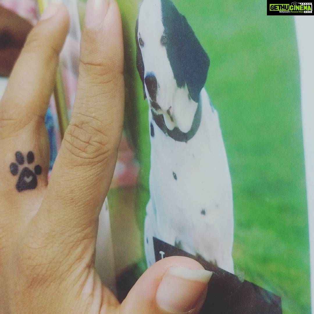 Maya Sundarakrishnan Instagram - Ur leash is waiting by the gate for the walk we just can't take.. Please come tackle me one more time and track mud on the floor.. Drool all over my toes again, chew up a sock once more.. I want to see your soft brown eyes Tyson.. As I cry myself to sleep ..
