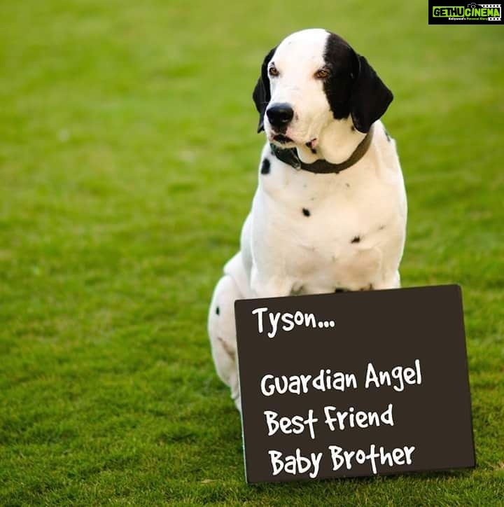 Maya Sundarakrishnan Instagram - I wish u stayed with me forever tychu. m sure u r happy with your parents now and m sure u found a dirty rug in heaven too. The grief is too much bro! RIP .. u know how much ur master loves you. !!