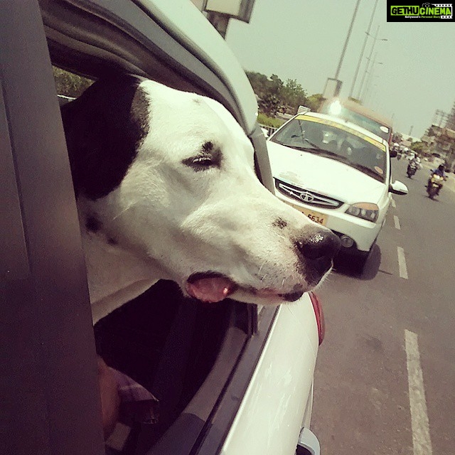 Maya Sundarakrishnan Instagram - He says: yeh raasta...ye bohot accha hai...mai chahti hu ki ye raasta kabhi khatam na ho. ...( i wish this journey doesn end at all ) ... My tychu is back to form after 2 butt injections .. :):)