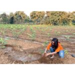Nabha Natesh Instagram - I've accepted #HaraHaiTohBharaHai #GreenindiaChallenge Inspiration from @MPsantoshtrs Planted 3 saplings. Further I am nominating @sreenivasbellamkonda @anuemmanuel @nidhhiagerwal to plant 3 trees & continue the chain special thanks to MP Santhosh garu for taking this initiative.