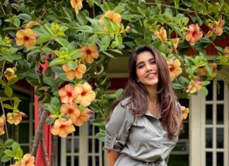 Nabha Natesh Instagram - . SMILE noun an expression on your face in which the corners of your mouth turn up, showing happiness, pleasure, etc. verb 1.to make a smile appear on your face. 2.to say or express something with a smile