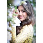 Nabha Natesh Instagram - Oh so pretty !!! :Talking about the flowers 🙃 : : : : : Styled by @impriyankasahajananda Outfit @ahmadcouture Asst by @sravya_lp Photography @rajiv.krishna.14 MUA : @iramakeupstudios Hair : @Durgaraokavala Ast by : @barathkumarpalakurthi @dilipkotyada