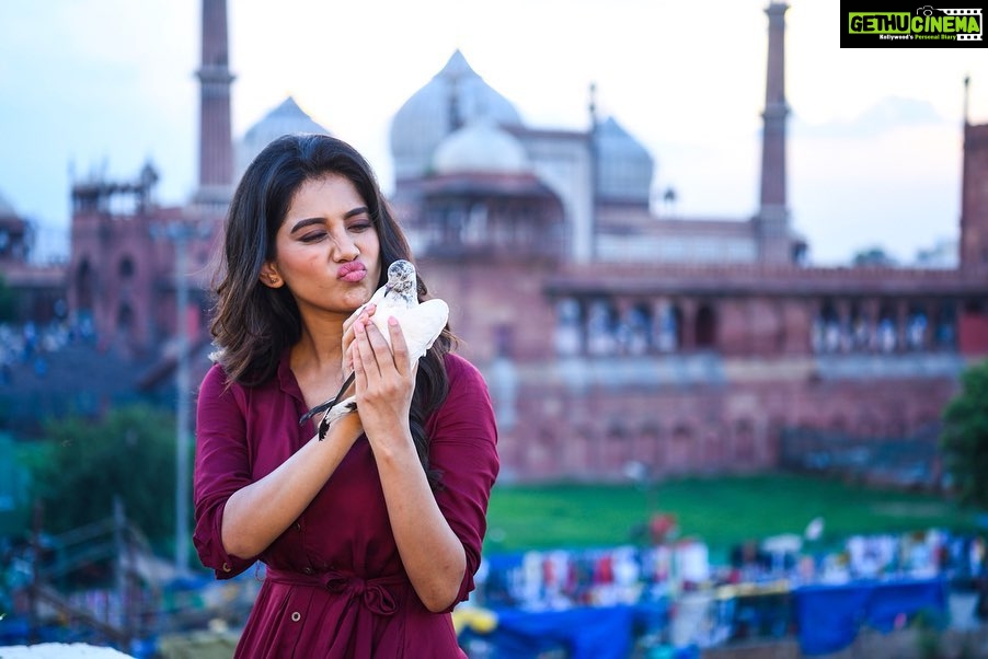 Nabha Natesh Instagram - Conversations to remember ☺️ : Me : hey cutie Miss. Pigeon : u cutie Me: heyyy don’t be silly !!☺️m the cutest 😝 Miss. P : 😏watever, let me go !!!