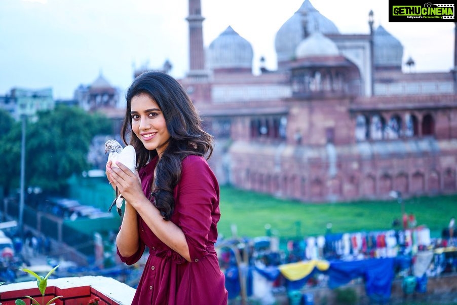 Nabha Natesh Instagram - Conversations to remember ☺️ : Me : hey cutie Miss. Pigeon : u cutie Me: heyyy don’t be silly !!☺️m the cutest 😝 Miss. P : 😏watever, let me go !!!