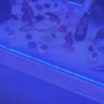 Naira Shah Instagram – Birthday 2020!💕💕💕Post lockdown !!cudnt be any better than this!. Blessed to be loved so much! 
Loved the Dessert Show done by chefs of @kaemasutra  what lovely desserts!. Yummmm!! 😍😍🌟😌🤩! #grateful #princess#blessed#happy#2020#nairashah Colombo, Sri Lanka