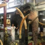 Naira Shah Instagram - Be found doing the work of the lord!.. My visit to Gangaramaya temple todsy evening was a peaceful experience!.. saw the buddhists..the different idols..the holy dragons..the holy elephant statues!.. just refreshing ❤...#monday#temple#budhists#lord#god#ibelieve#holy#peacefull#godisgreat#thankyougod#blessed Gangaramaya Temple