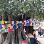 Naira Shah Instagram - Gautam buddha was born here!.. had a peaceful experience seeing this place!.. #gautambuddha#peace#happysoul#lumbini#monks#monastery#traveller#2k19 Maya Devi Temple, Lumbini