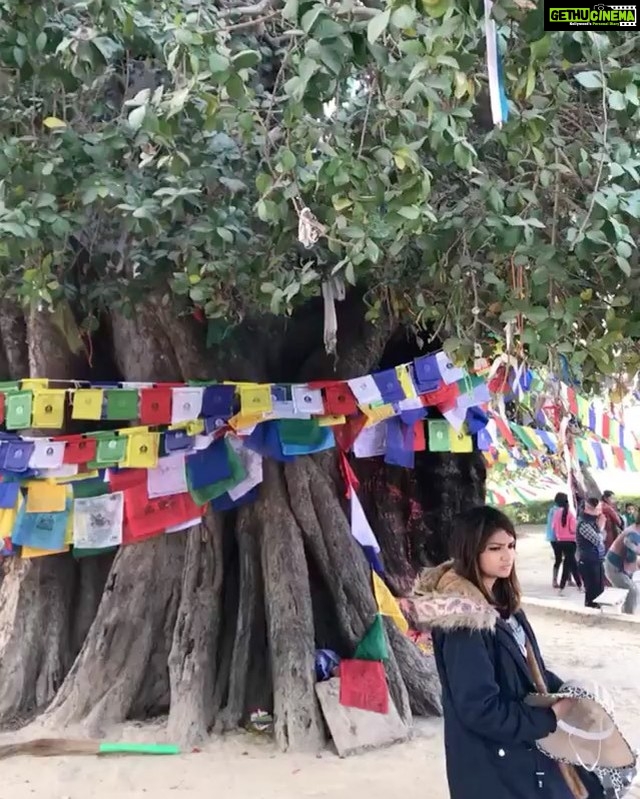 Naira Shah Instagram - Gautam buddha was born here!.. had a peaceful experience seeing this place!.. #gautambuddha#peace#happysoul#lumbini#monks#monastery#traveller#2k19 Maya Devi Temple, Lumbini