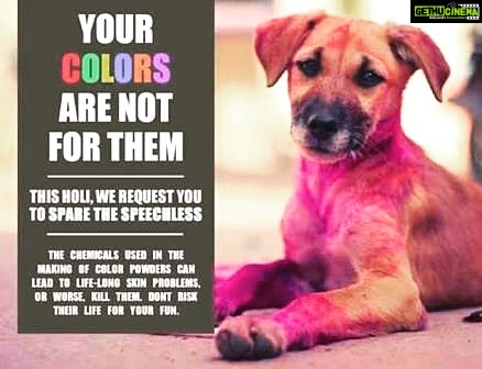 Naira Shah Instagram - Happy holi guys!! Hav a colourful and safe holi! ...a humble request! Please be kind to our innocent and speechless ones! 😇❤❤❤❤!.. (value our animals)..#holi#besafe#staysafe#celebrate life and humanity❤ Hyderabad
