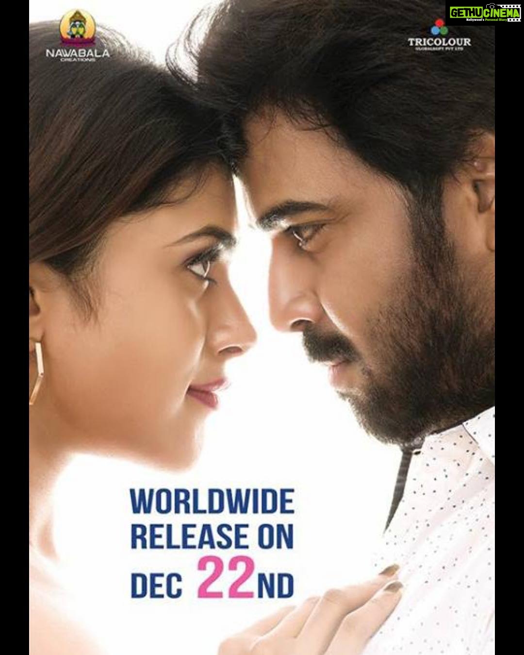 Actress Naira Shah HD Photos and Wallpapers December 2017 - Gethu Cinema