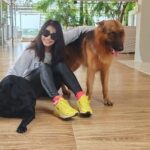 Neetu Chandra Instagram – Meet Emma, Vagy, and Collie these pawfect kids were the most cheerful during my one-week stay at  Rishikesh and healing journey.