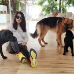 Neetu Chandra Instagram - Meet Emma, Vagy, and Collie these pawfect kids were the most cheerful during my one-week stay at Rishikesh and healing journey.