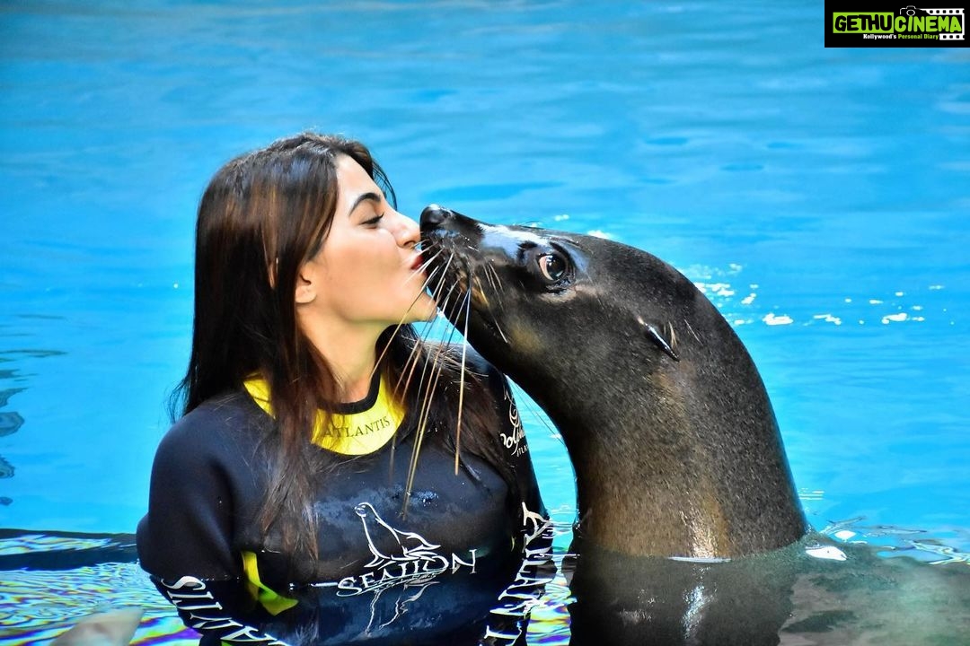 Nikki Tamboli Instagram - #sealion #socute❤️ #lovedhersomuch💋🙈 Atlantis, The Palm