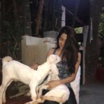 Nikki Tamboli Instagram -