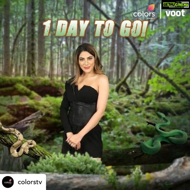 Nikki Tamboli Instagram - 1 day to go #kkk11 #nikkitamboli @colorstv Kya @nikki_tamboli darri ya daring bani? Watch Khatron Ke Khiladi Season 11, from tomorrow, every Sat-Sun 9:30 PM only on #Colors. #KKK11