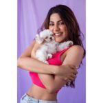 Nikki Tamboli Instagram - HAPPY INTERNATIONAL DOG DAY!!✨🐾 #puppylove #puppiesofinstagram #puppy #dogsofinstagram #dogoftheday #teddybeardog #maltese #maltesepuppy #internationaldogday #unconditionallove ♥️♥️♥️♥️