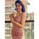 Nikki Tamboli Instagram - Dogs have a way of finding the people who need them 🥰 LiLy😘 #unconditionallove #maltese #maltesepuppy #happiness #2monthspuppy #nomakeupneeded ❤️