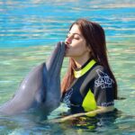Nikki Tamboli Instagram - People who love animals are my favourite kinda people...#lovedolphins🐬 #dubai❤️ Atlantis, The Palm