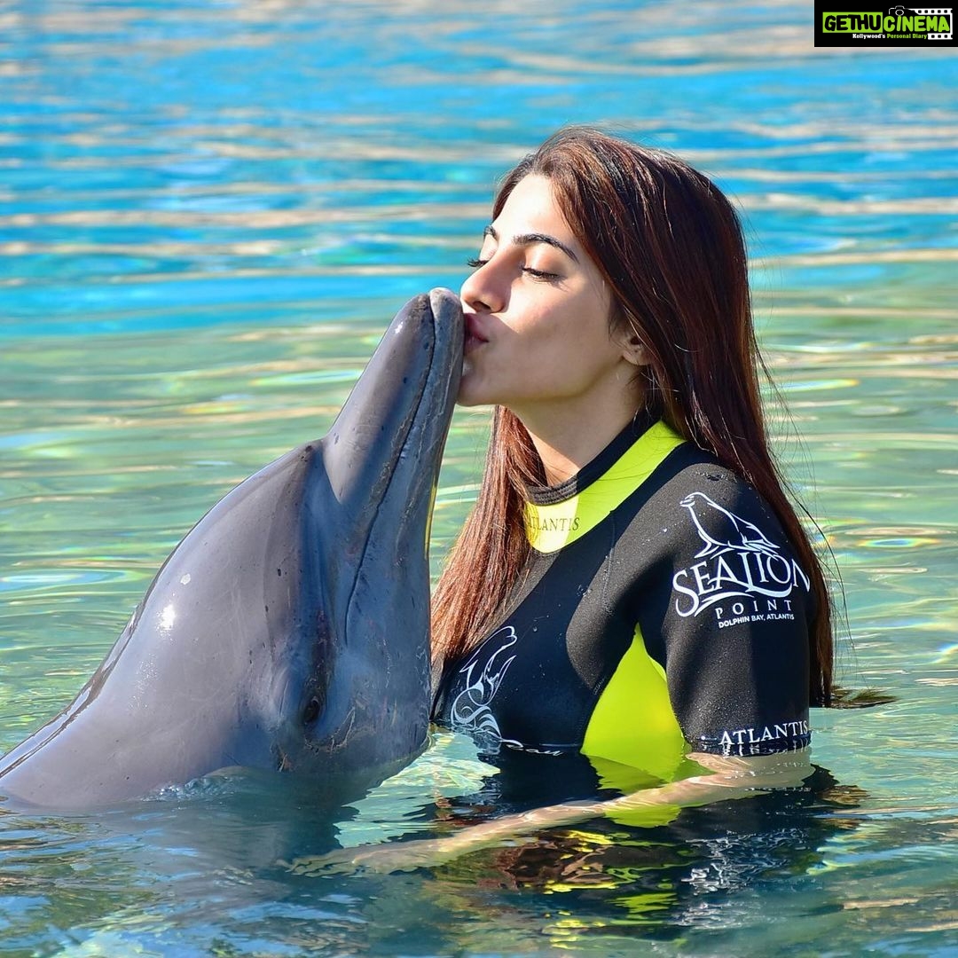 Nikki Tamboli Instagram - People who love animals are my favourite kinda people...#lovedolphins🐬 #dubai❤️ Atlantis, The Palm