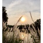 Nivedhithaa Sathish Instagram - 30 days of summer 🍃🌤 #Thanjavur #ShootDiaries #ProductionNo12 #Nature #Sky