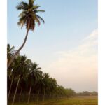 Nivedhithaa Sathish Instagram - 30 days of summer 🍃🌤 #Thanjavur #ShootDiaries #ProductionNo12 #Nature #Sky