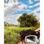 Nivedhithaa Sathish Instagram - 30 days of summer 🍃🌤 #Thanjavur #ShootDiaries #ProductionNo12 #Nature #Sky