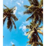 Nivedhithaa Sathish Instagram - 30 days of summer 🍃🌤 #Thanjavur #ShootDiaries #ProductionNo12 #Nature #Sky